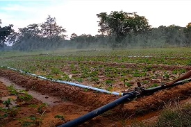 High Density Polyethylene (HDPE) Laminated Woven Lay Flat Tube and Fittings for use in Rain Irrigation System