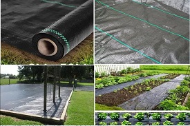 Woven Ground covers for Horticulture Application