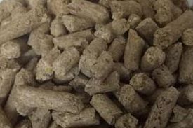 Compounded Feeds for Cattle