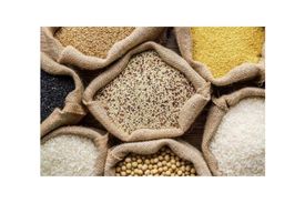 Jute bags for packing 50 Kg foodgrains
